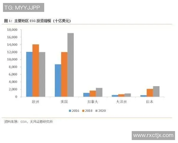独家解析LNG市场竞争策略与战术对比深度剖析